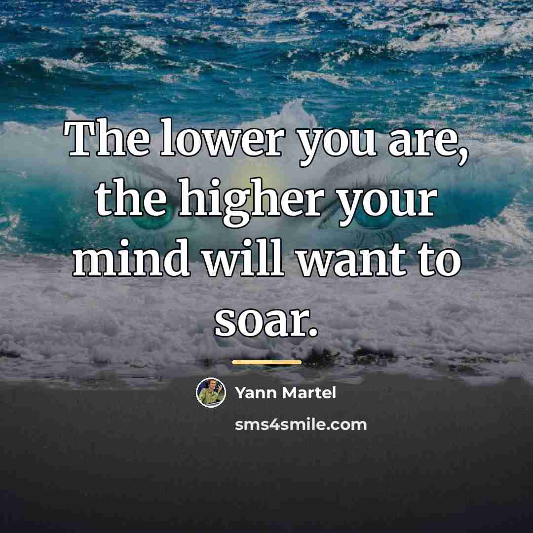 “The lower you are, the higher your mind will want…” quote by Yann Martel