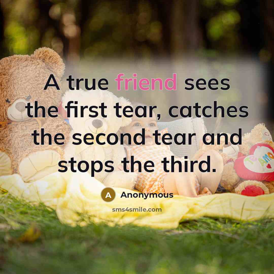 “A true friend sees the first tear, catches the second…” quote by Anonymous