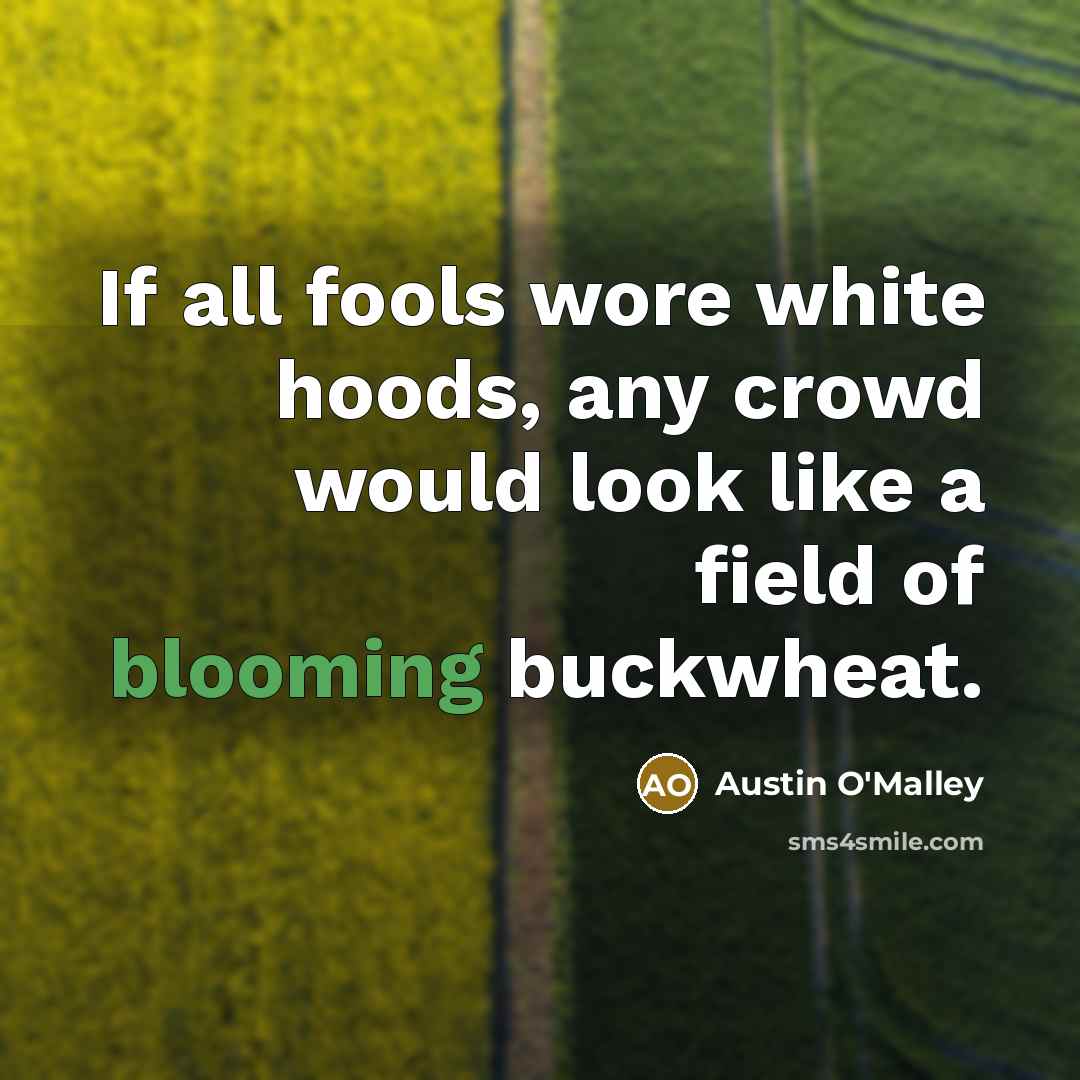 “If all fools wore white hoods, any crowd would look…” quote by Austin O'Malley
