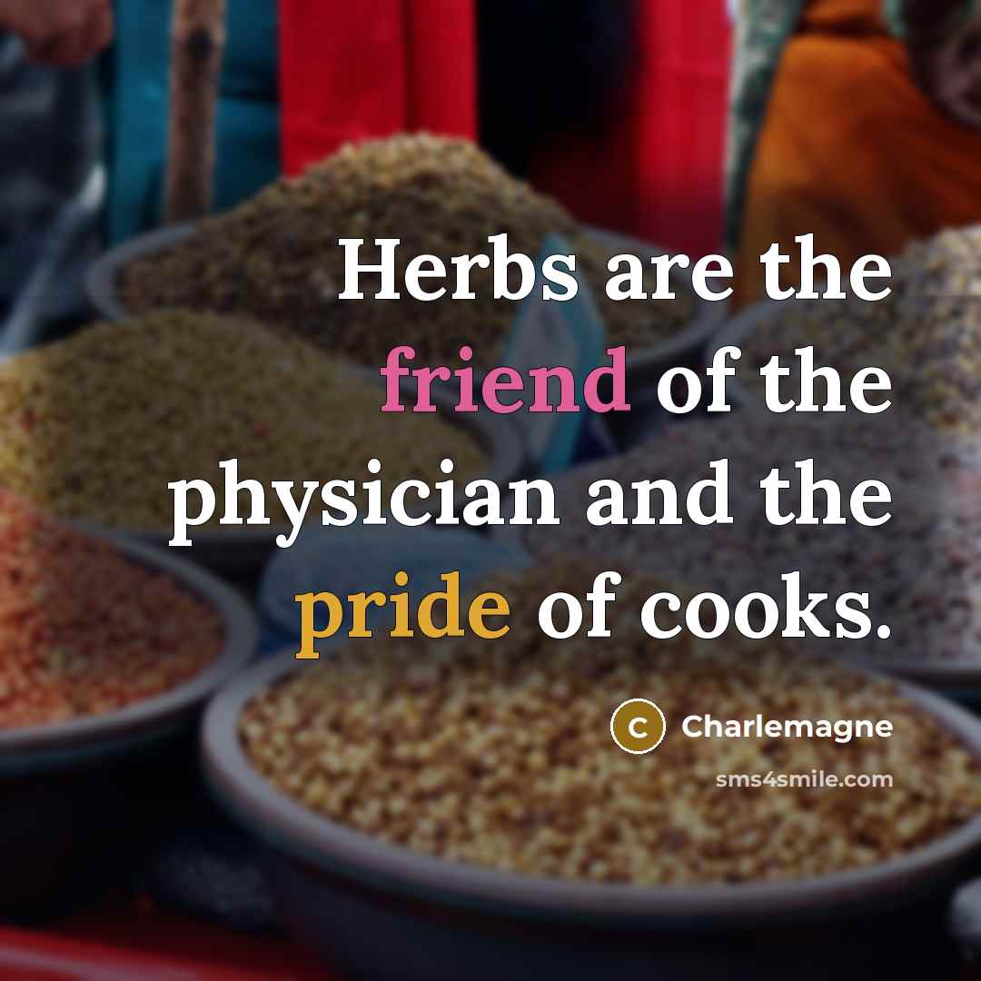 “Herbs are the friend of the physician and the pride…” quote by Charlemagne