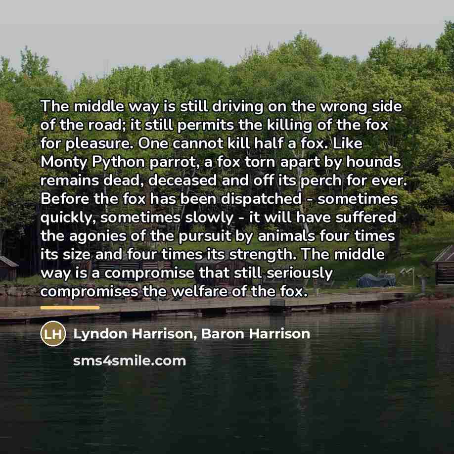 “The middle way is still driving on the wrong side…” quote by Lyndon Harrison, Baron Harrison