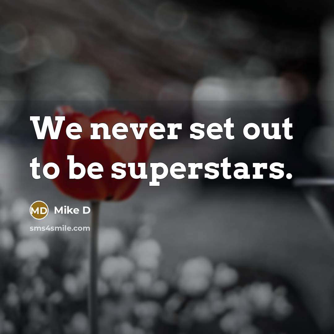 “We never set out to be superstars.…” quote by Mike D