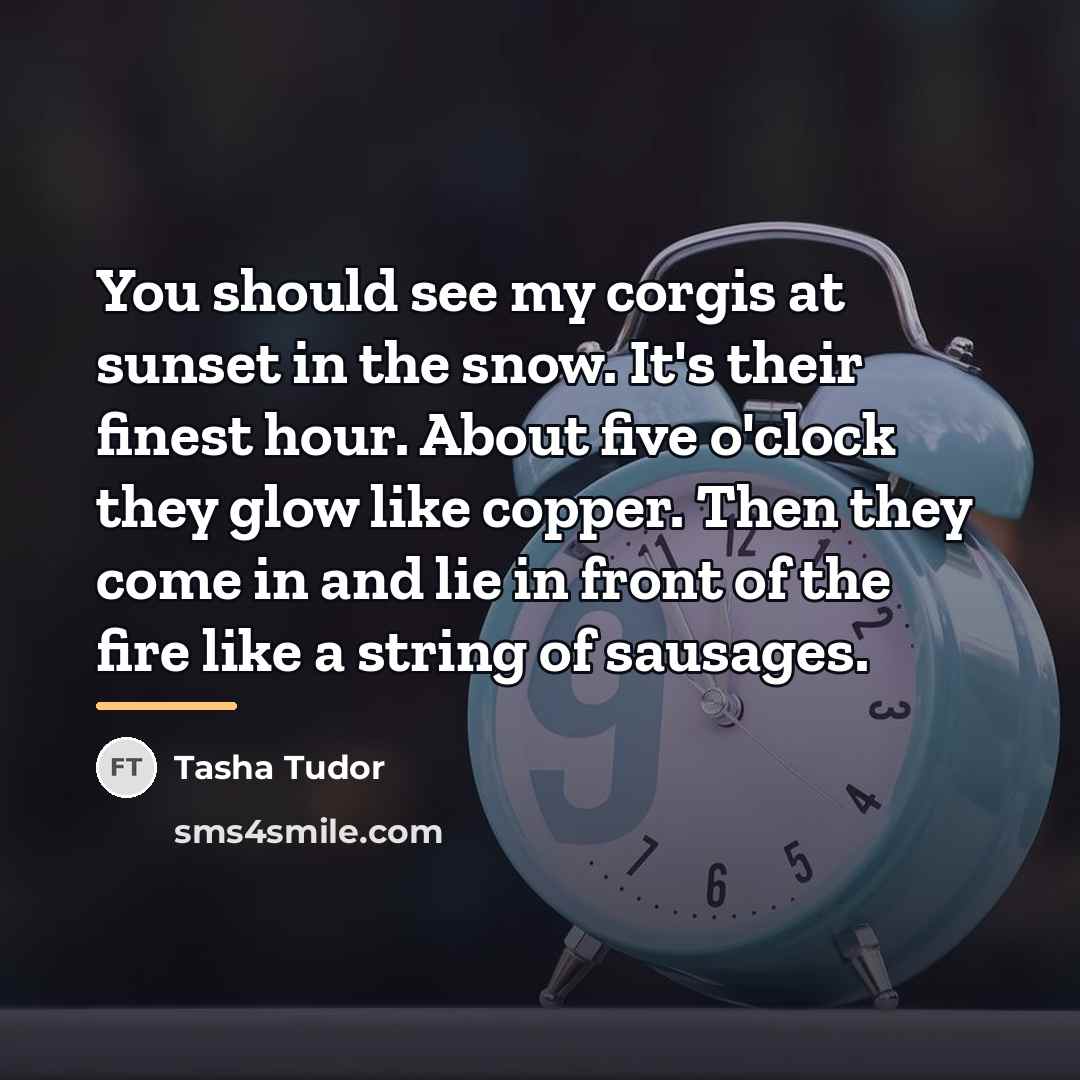 “You should see my corgis at sunset in the snow.…” quote by Tasha Tudor