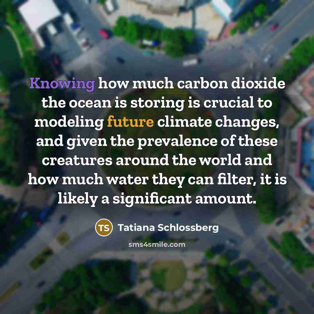 “Knowing how much carbon dioxide the ocean is storing is…” quote by Tatiana Schlossberg