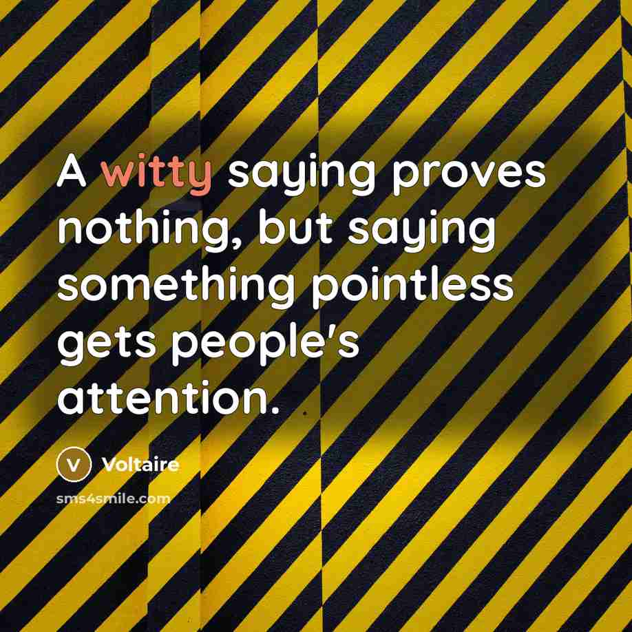 “A witty saying proves nothing, but saying something pointless gets…” quote by Voltaire