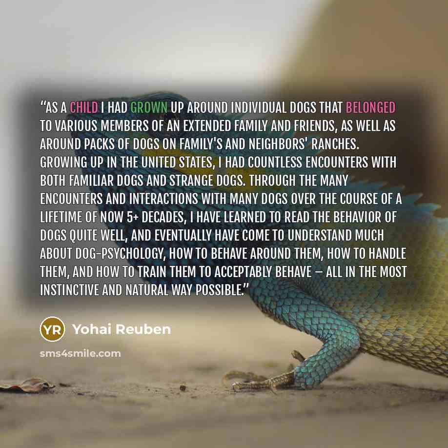 “As a child I had grown up around individual dogs that belonged to various members of an extended family and friends, as well as around packs of dogs on family's and neighbors' ranches. Growing up in the United States, I had countless encounters with both familiar dogs and strange dogs. Through the…” quote by Yohai Reuben