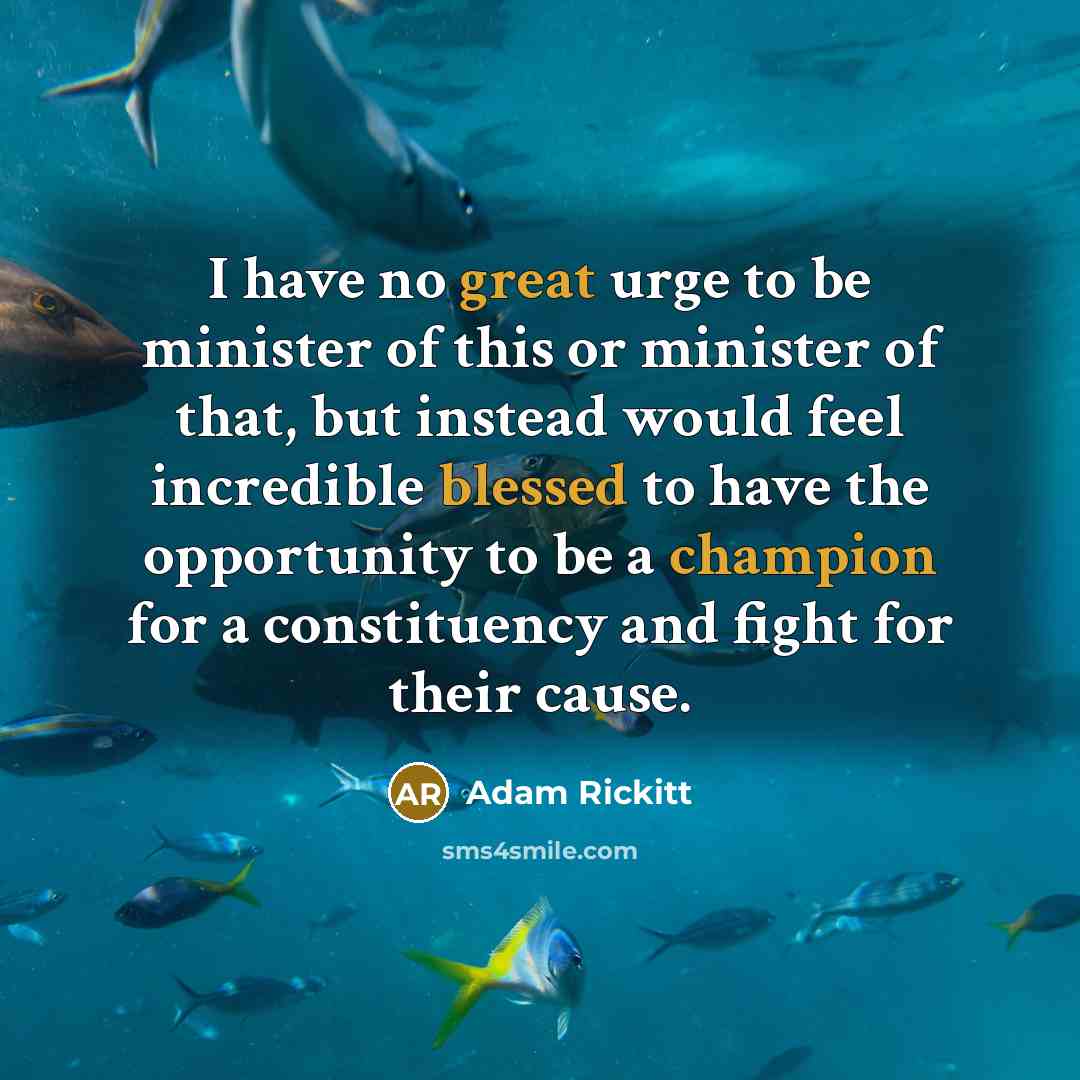 “I have no great urge to be minister of this…” quote by Adam Rickitt
