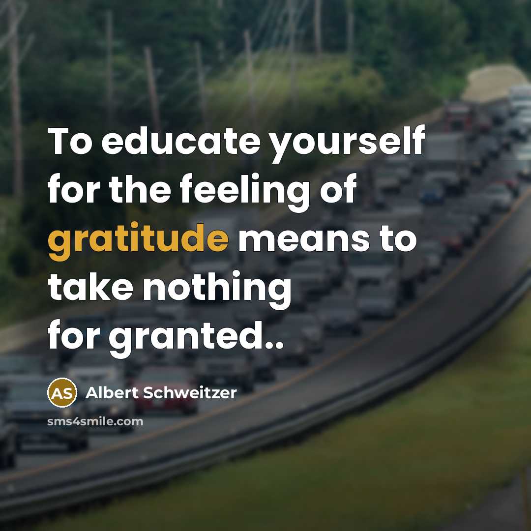 “To educate yourself for the feeling of gratitude means to…” quote by Albert Schweitzer