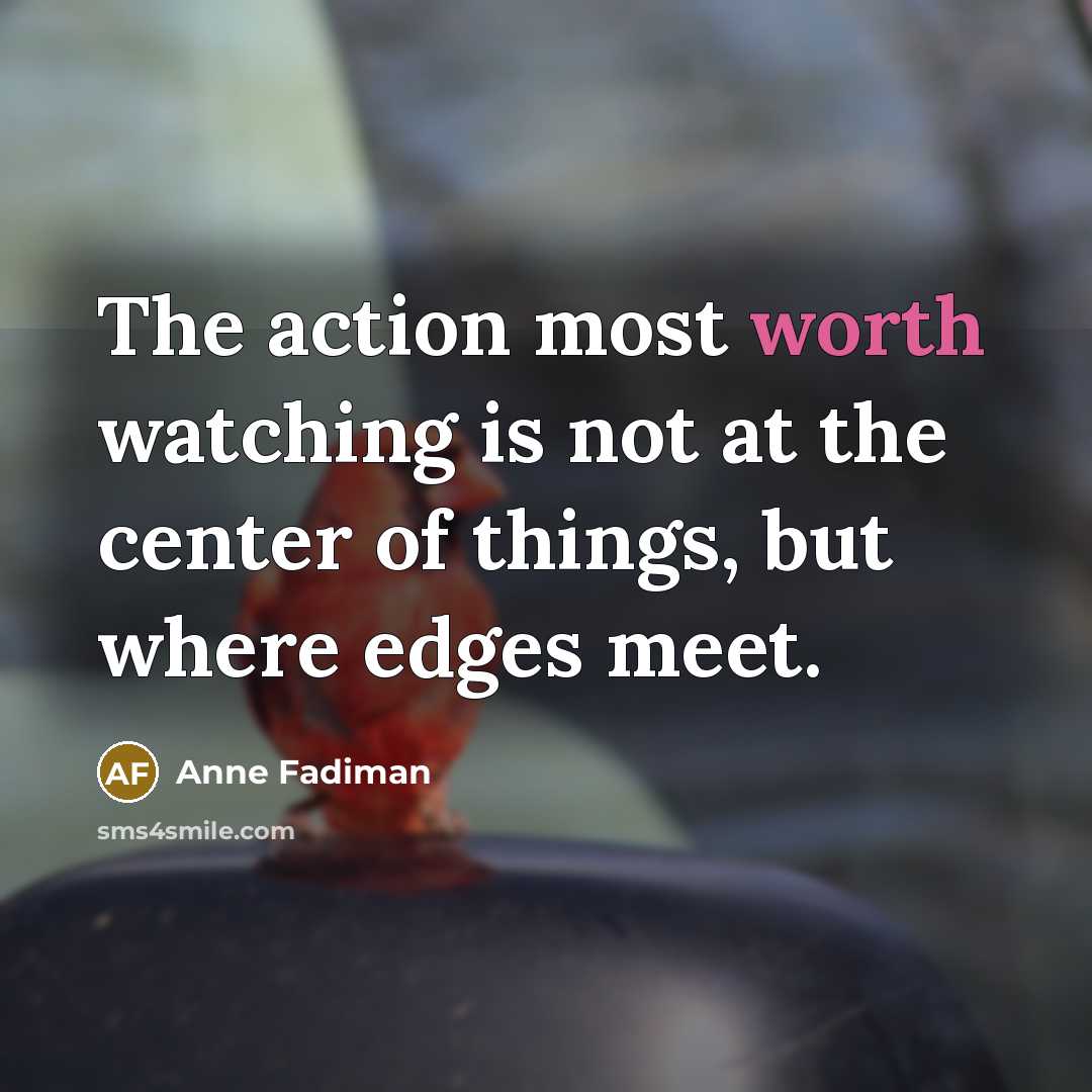 “The action most worth watching is not at the center…” quote by Anne Fadiman