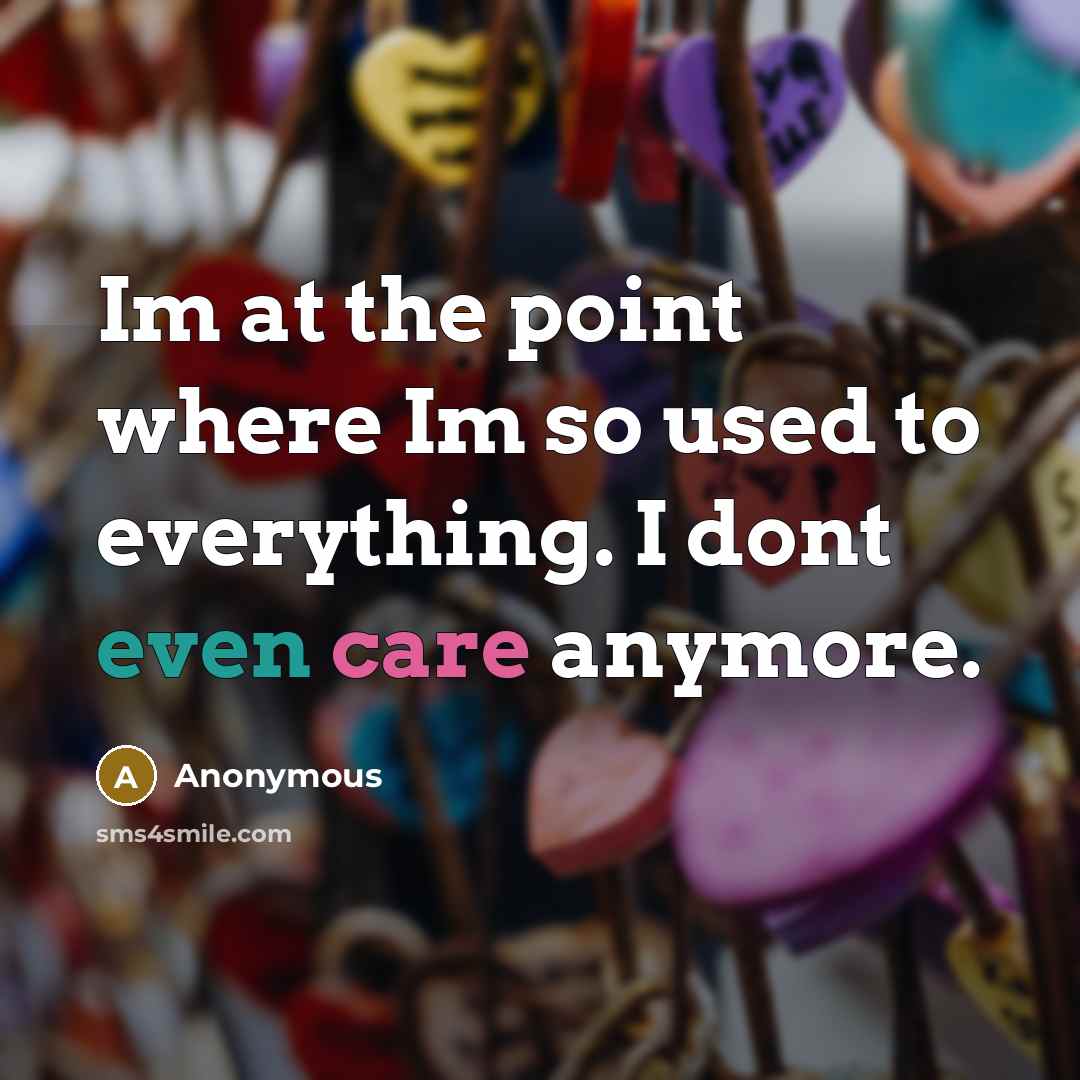 “Im at the point where Im so used to everything.…” quote by Anonymous