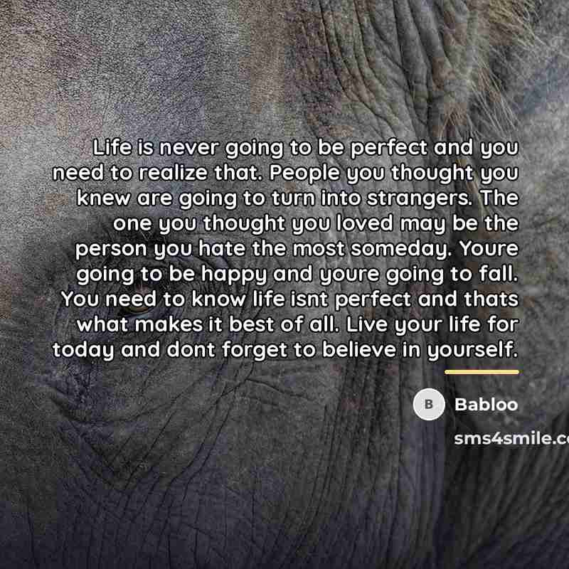 “Life is never going to be perfect and you need…” quote by Babloo