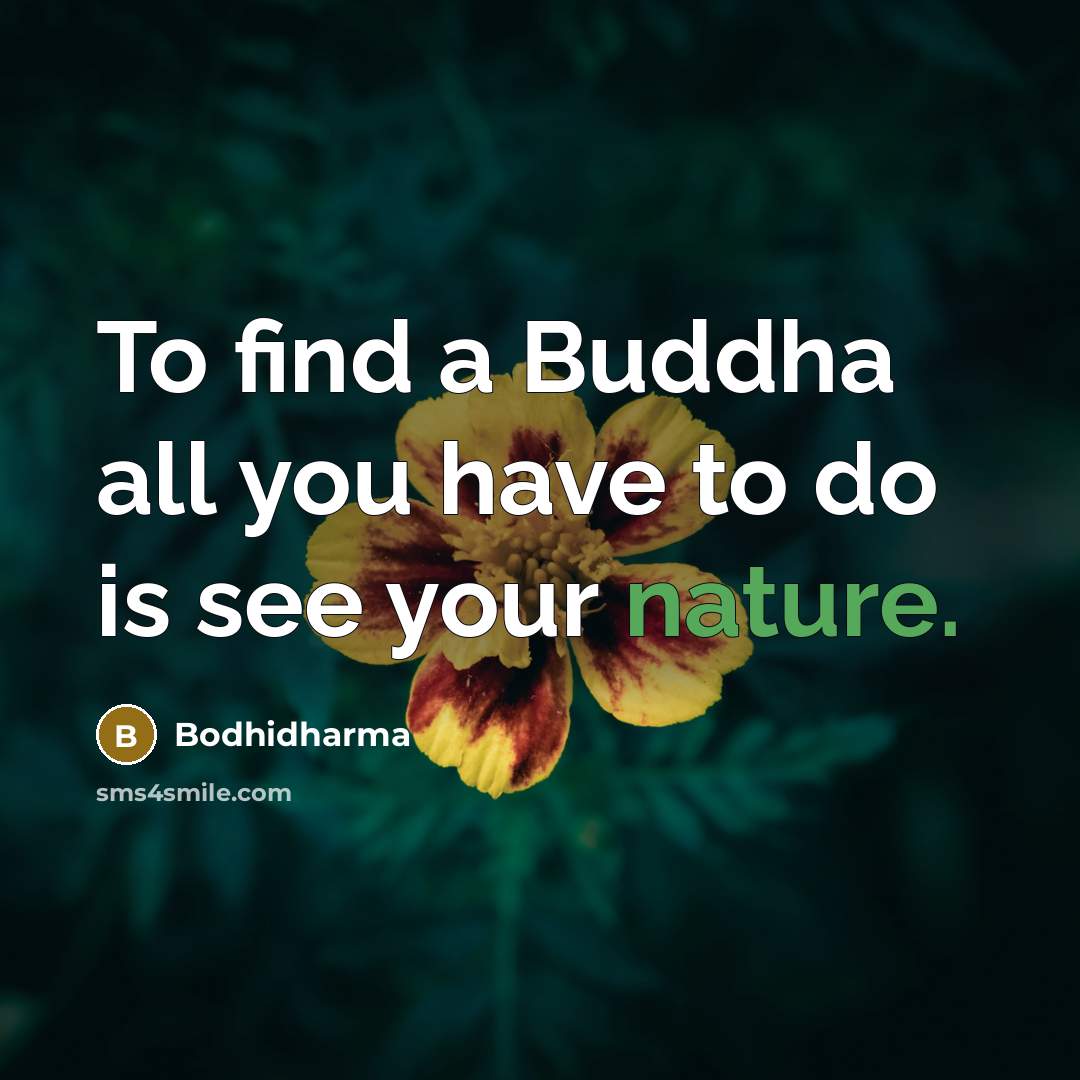 “To find a Buddha all you have to do is…” quote by Bodhidharma
