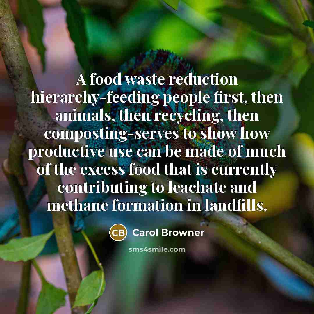 “A food waste reduction hierarchy-feeding people first, then animals, then…” quote by Carol Browner