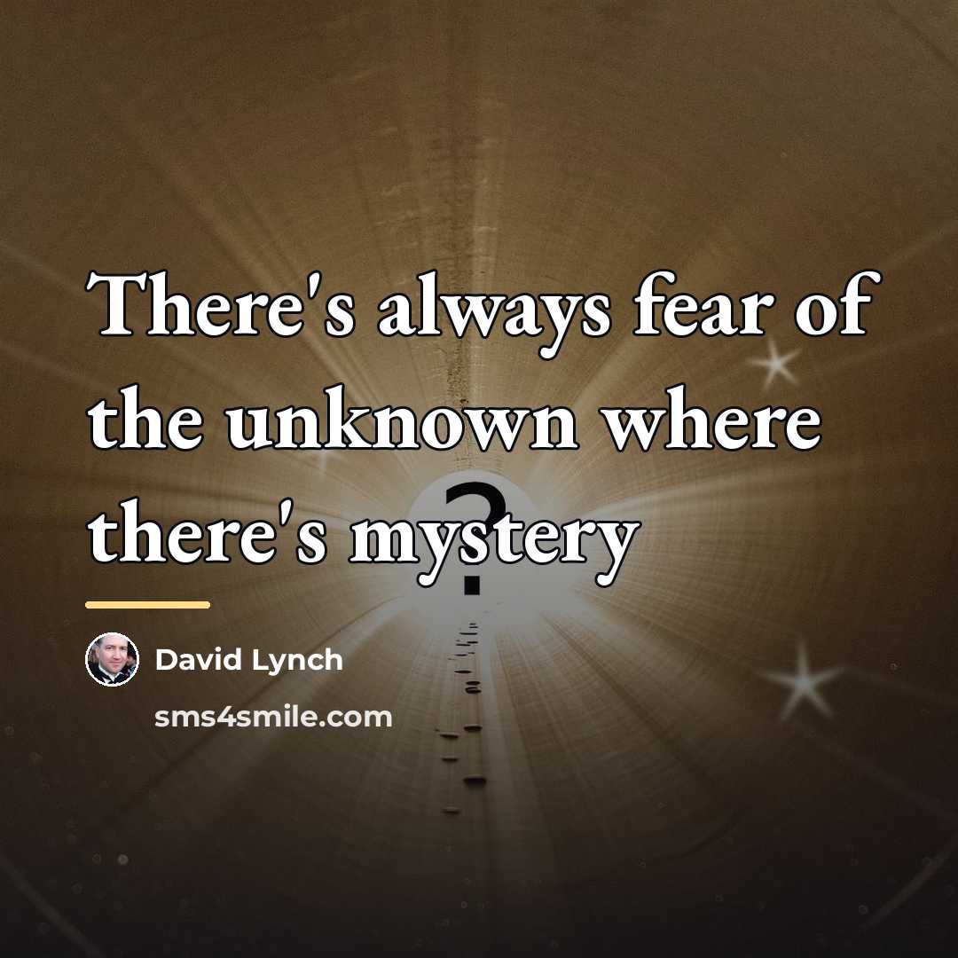 “There's always fear of the unknown where there's mystery…” quote by David Lynch