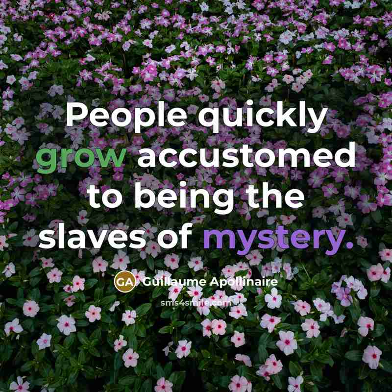 “People quickly grow accustomed to being the slaves of mystery.…” quote by Guillaume Apollinaire