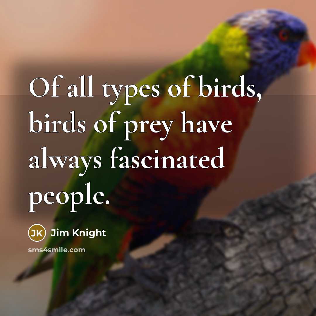 “Of all types of birds, birds of prey have always…” quote by Jim Knight