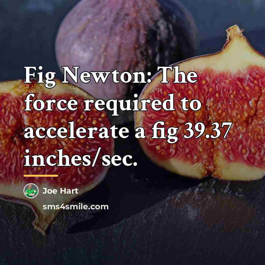 “Fig Newton: The force required to accelerate a fig 39.37…” quote by Joe Hart