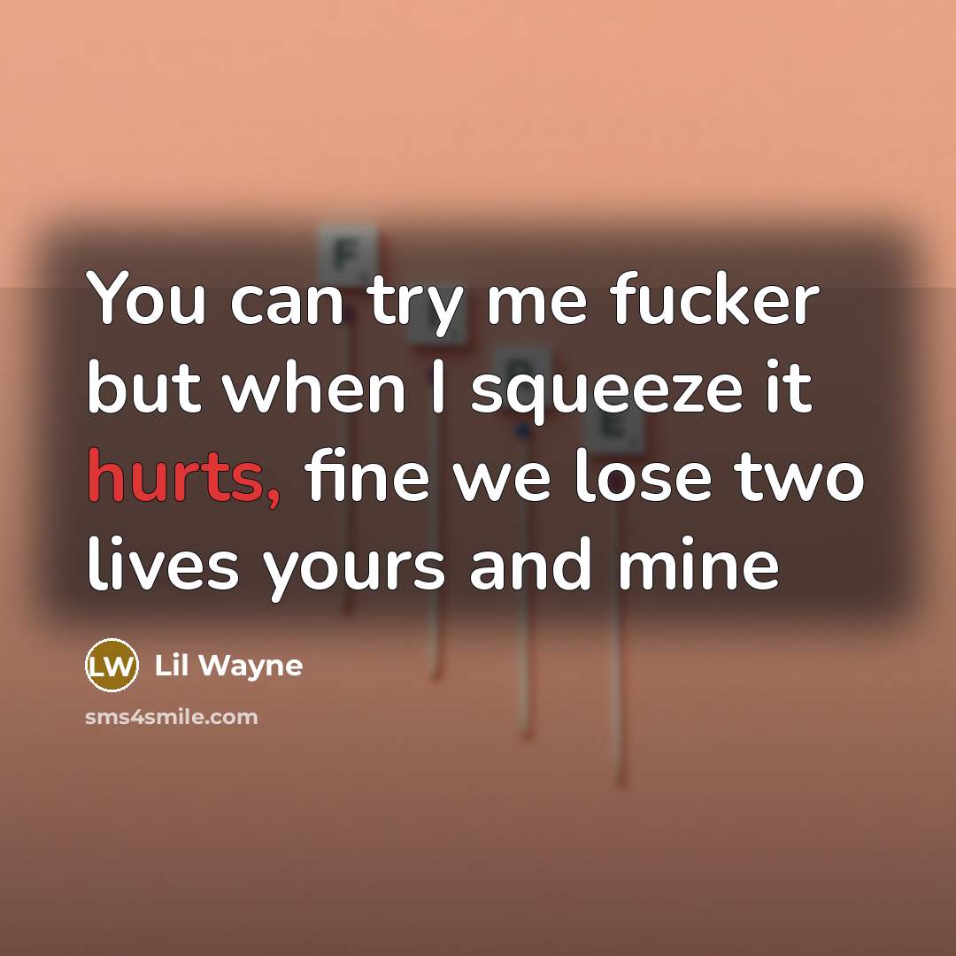 “You can try me fucker but when I squeeze it hurts, fine we lose two lives yours and mine” quote by Lil Wayne