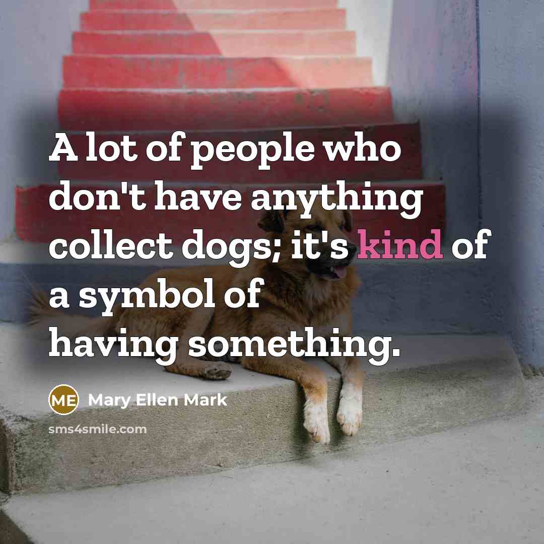 “A lot of people who don't have anything collect dogs;…” quote by Mary Ellen Mark