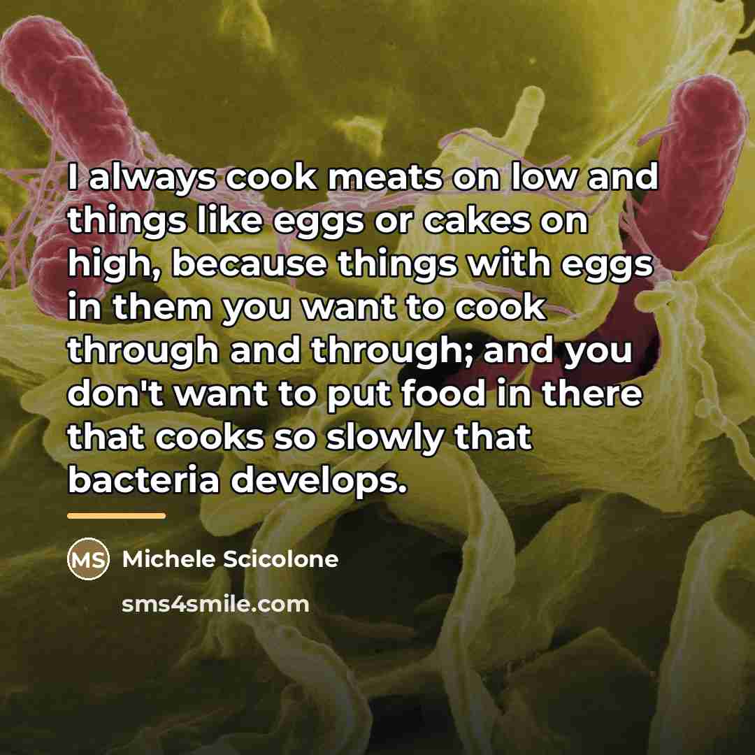 “I always cook meats on low and things like eggs…” quote by Michele Scicolone