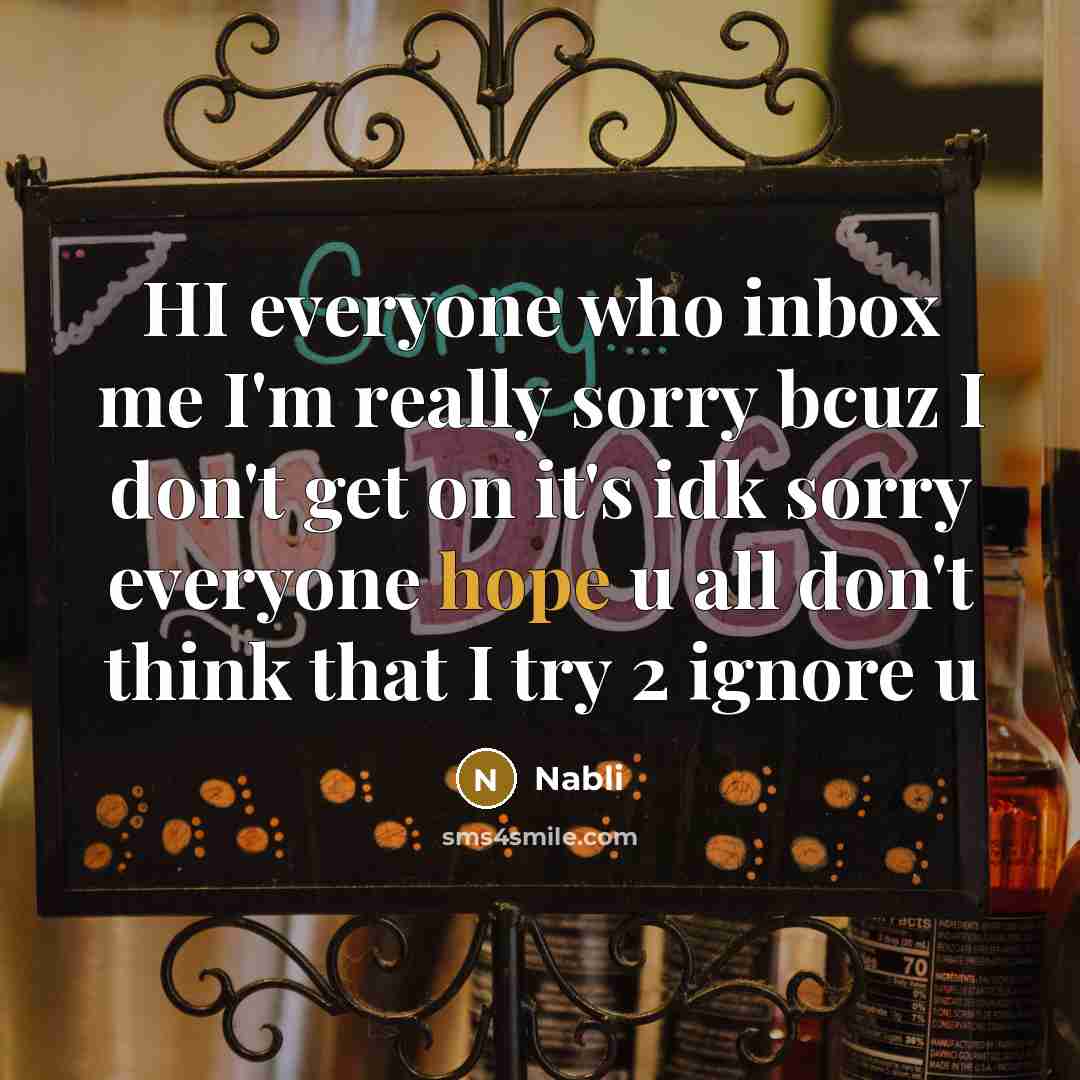 “HI everyone who inbox me I'm really sorry bcuz I don't get on it's idk sorry everyone hope u all don't think that I try 2 ignore u” quote by Nabli