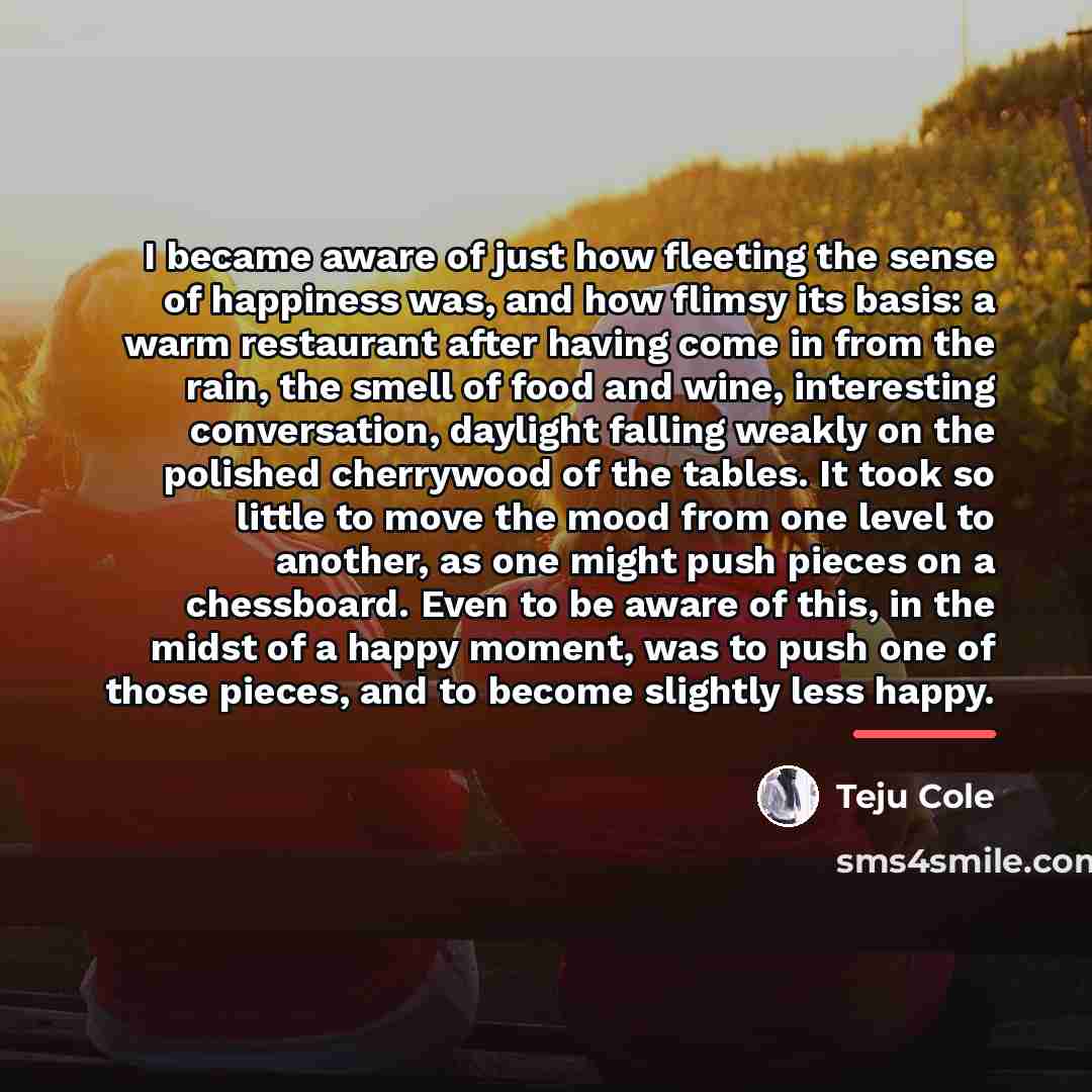 “I became aware of just how fleeting the sense of…” quote by Teju Cole