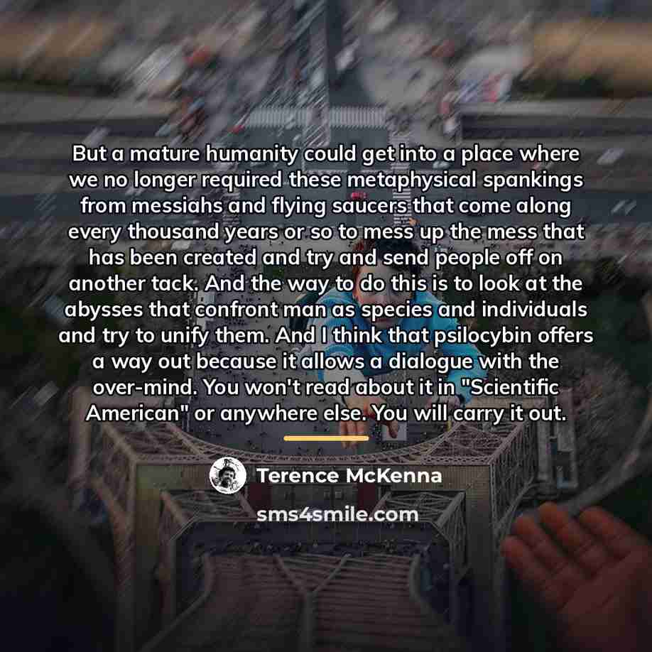 “But a mature humanity could get into a place where…” quote by Terence McKenna