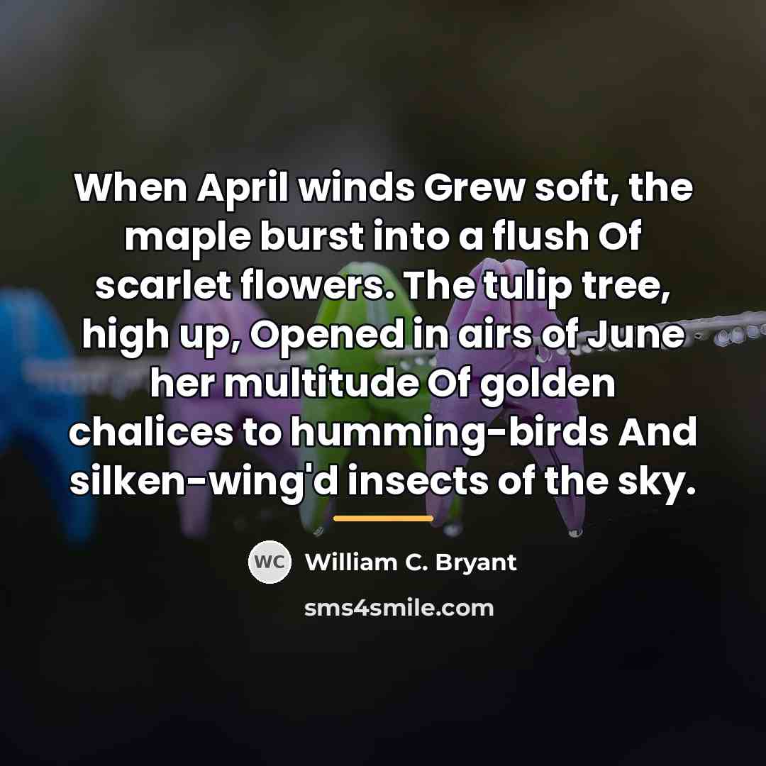 “When April winds Grew soft, the maple burst into a…” quote by William C. Bryant