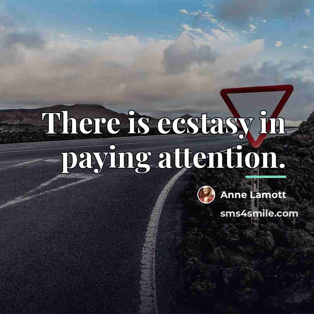 “There is ecstasy in paying attention.…” quote by Anne Lamott
