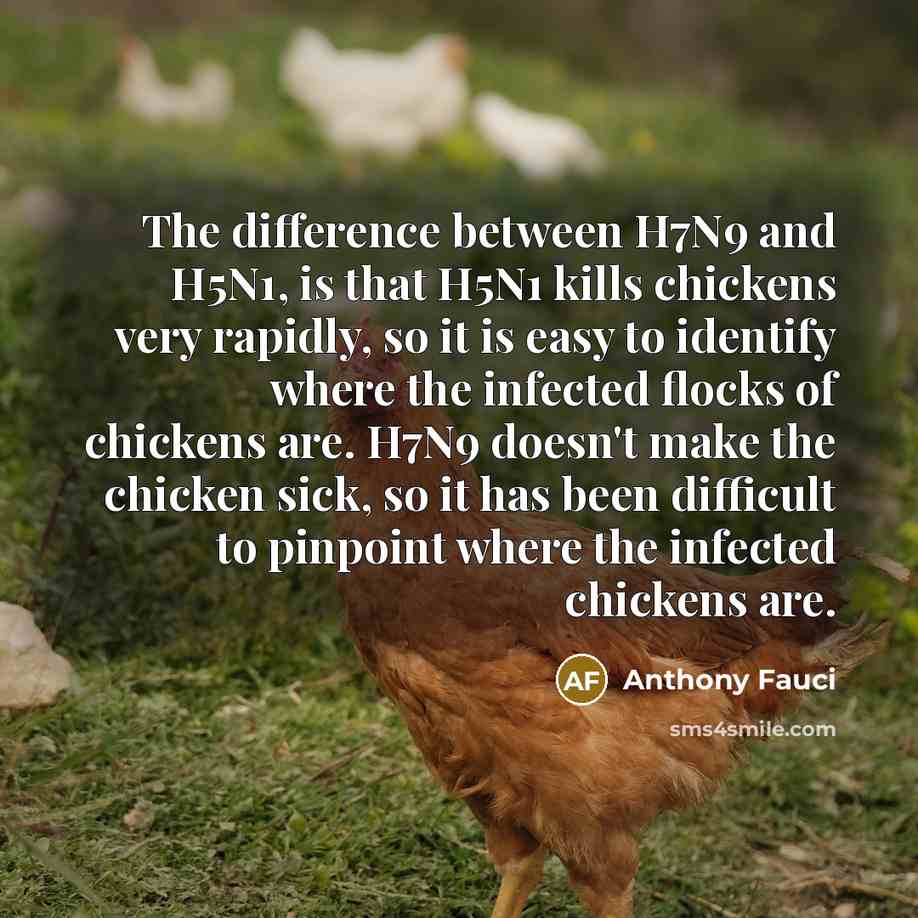 “The difference between H7N9 and H5N1, is that H5N1 kills…” quote by Anthony Fauci