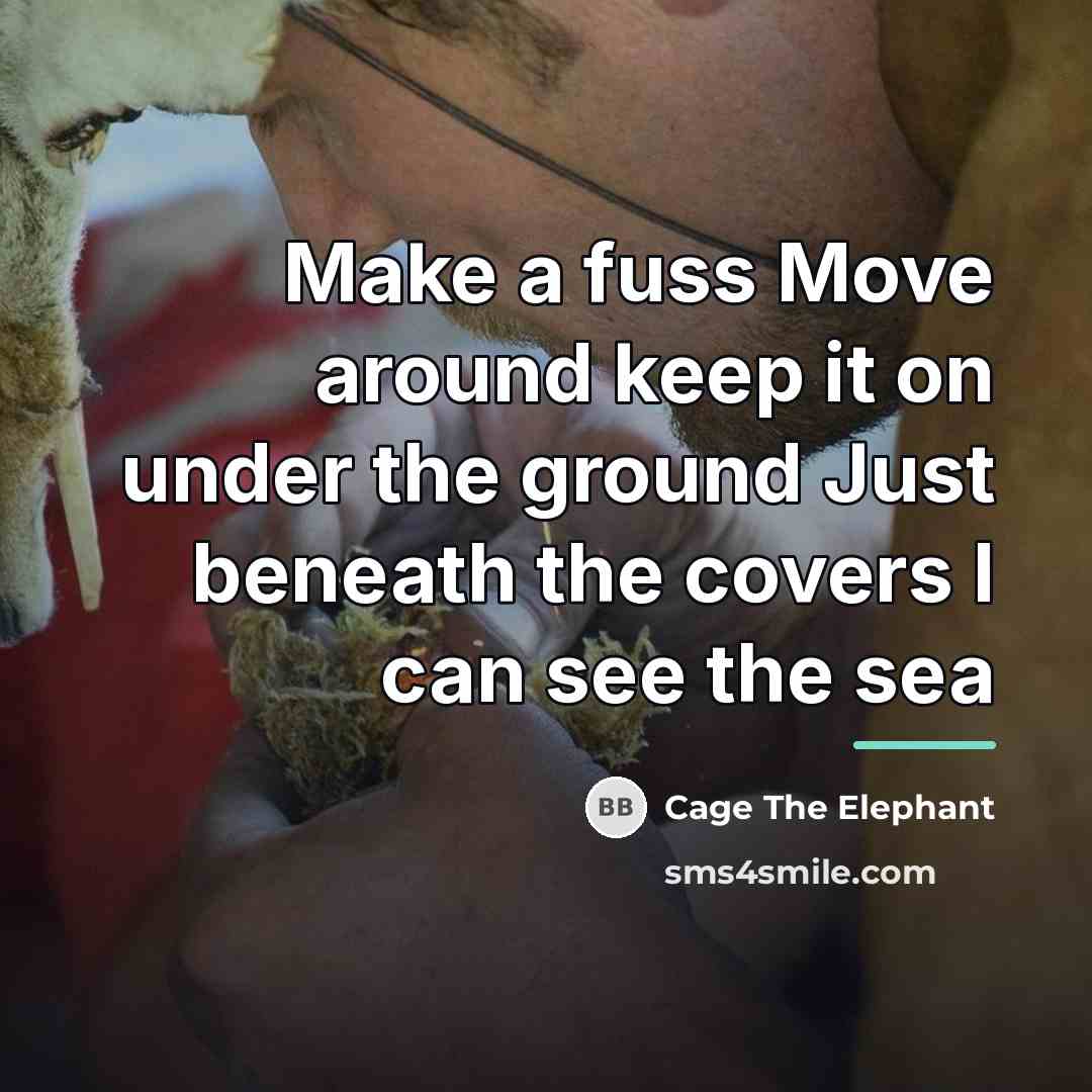 “Make a fuss Move around keep it on under the…” quote by Cage The Elephant
