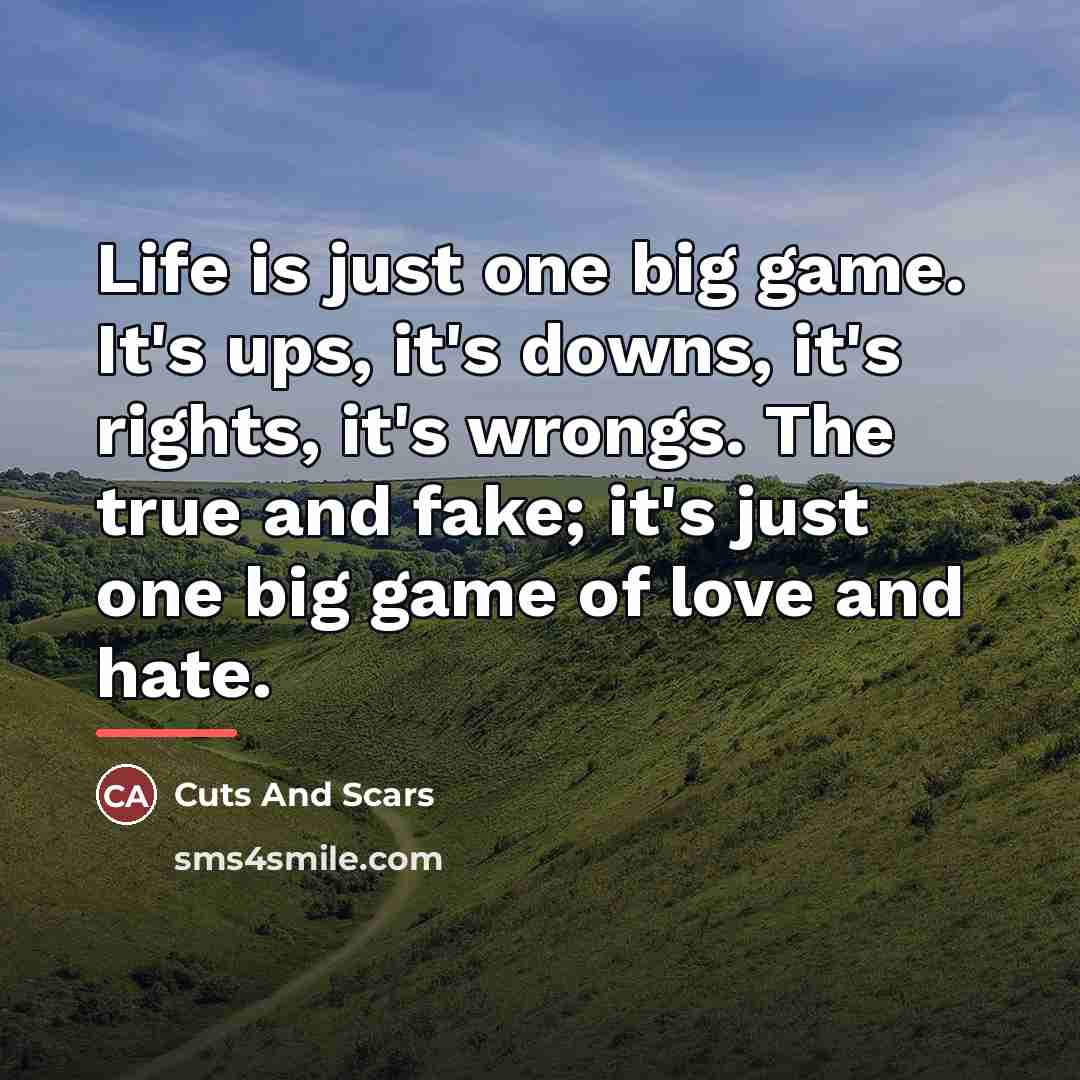 “Life is just one big game. It's ups, it's downs,…” quote by Cuts And Scars