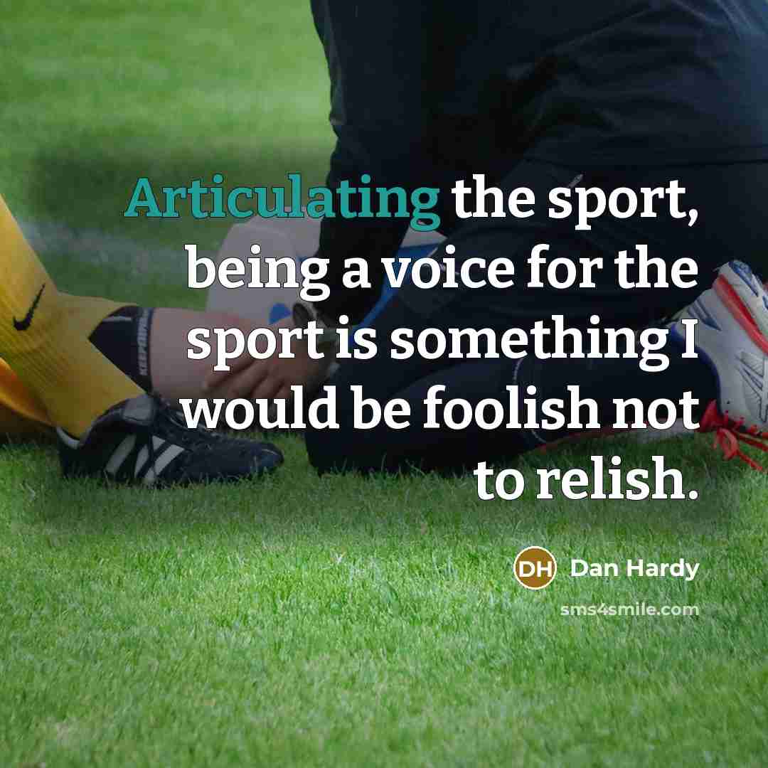 “Articulating the sport, being a voice for the sport is something I would be foolish not to relish.” quote by Dan Hardy
