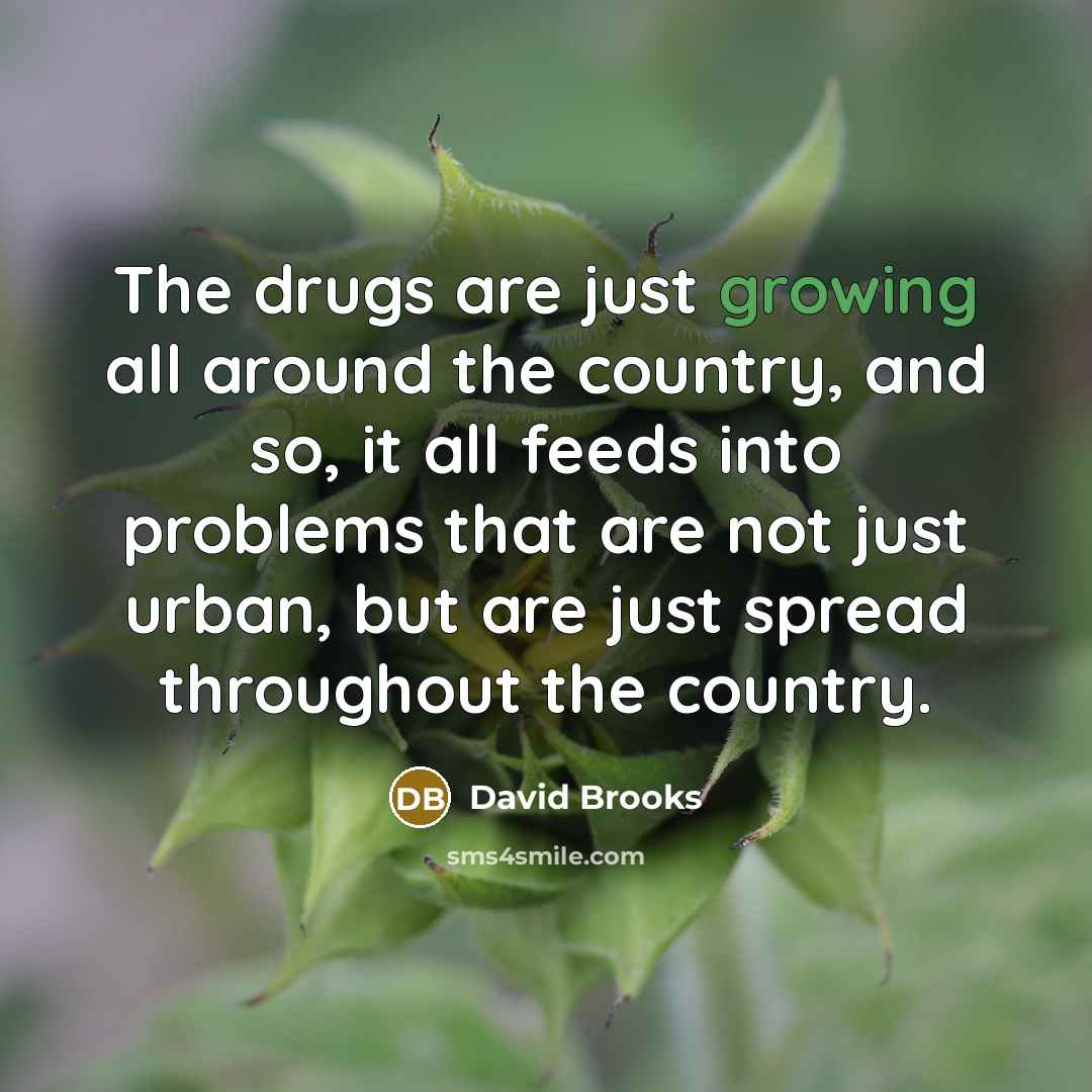 “The drugs are just growing all around the country, and…” quote by David Brooks