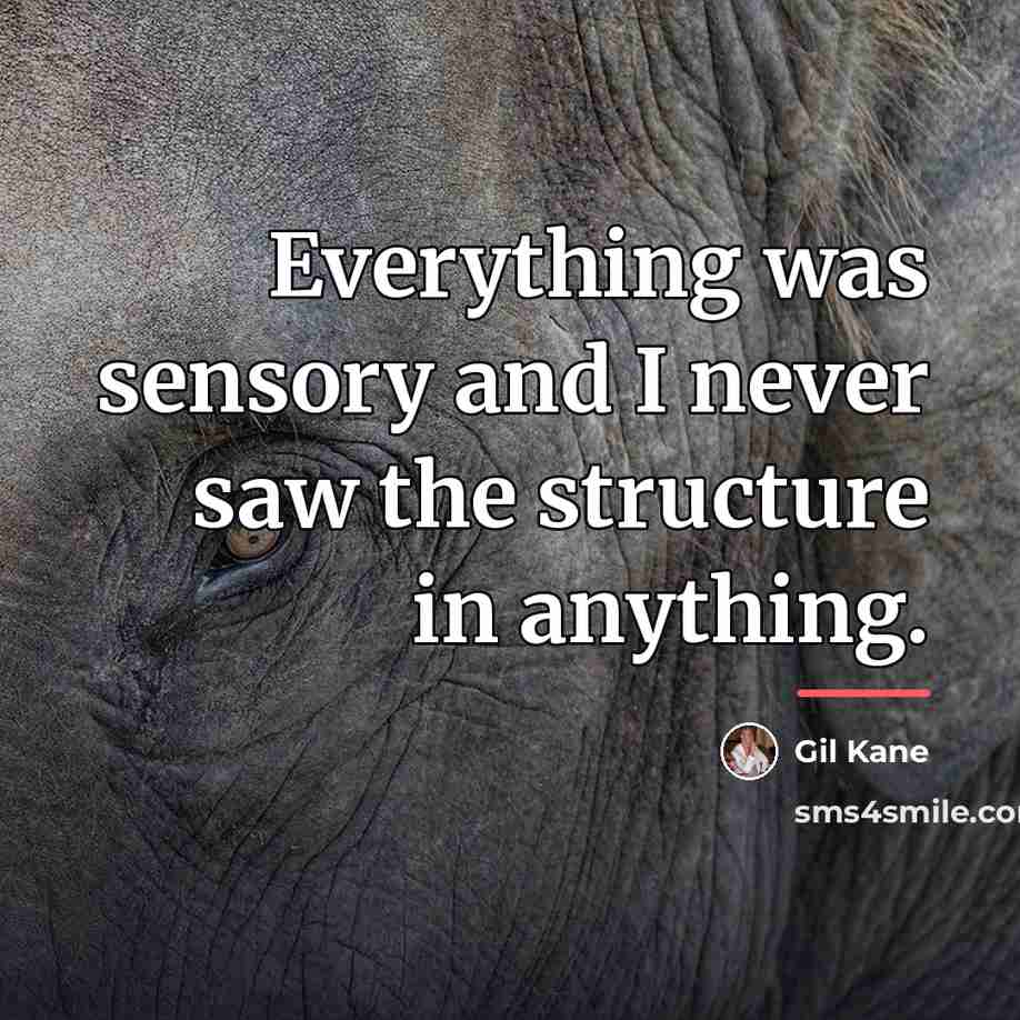“Everything was sensory and I never saw the structure in…” quote by Gil Kane
