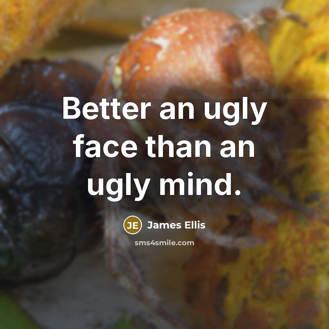 “Better an ugly face than an ugly mind.…” quote by James Ellis