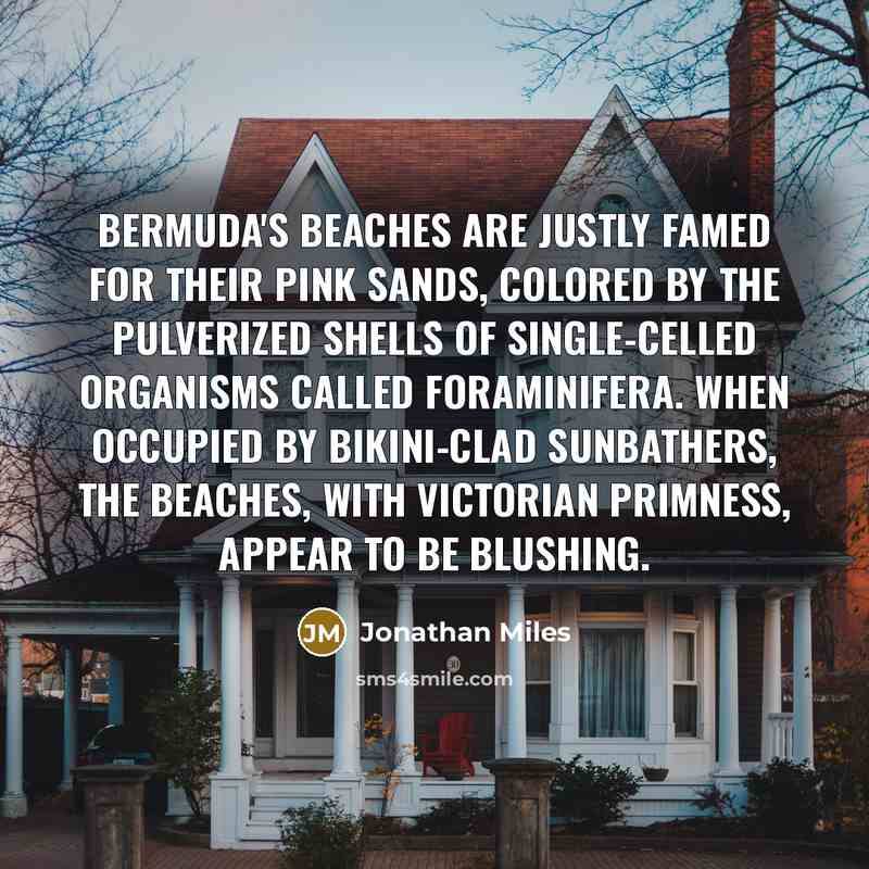 “Bermuda's beaches are justly famed for their pink sands, colored…” quote by Jonathan Miles