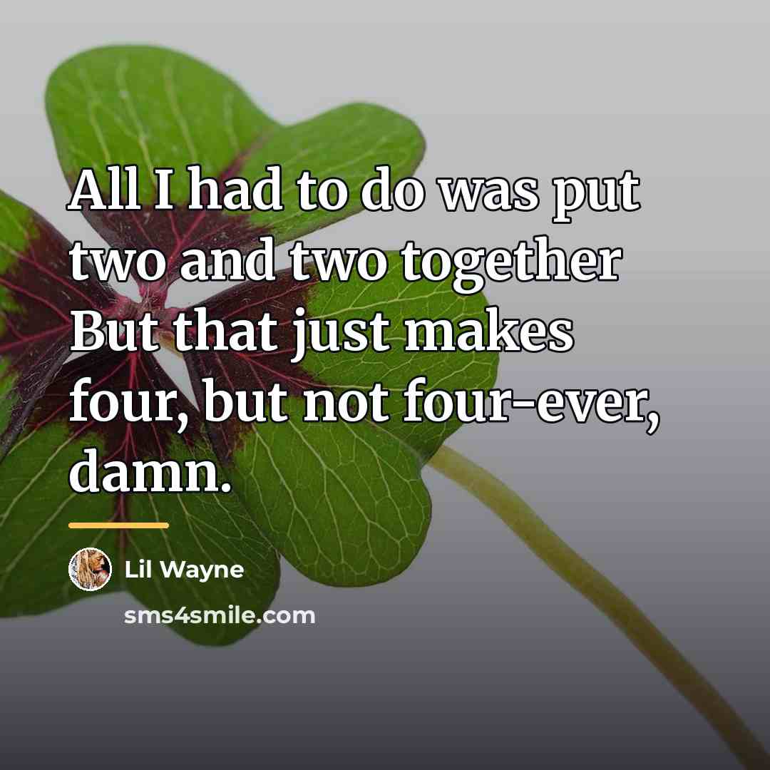 “All I had to do was put two and two…” quote by Lil Wayne