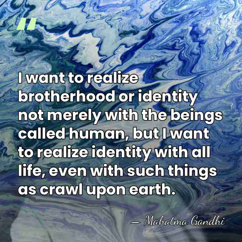 I want to realize brotherhood or identity not merely with the beings&hellip; - Mahatma Gandhi