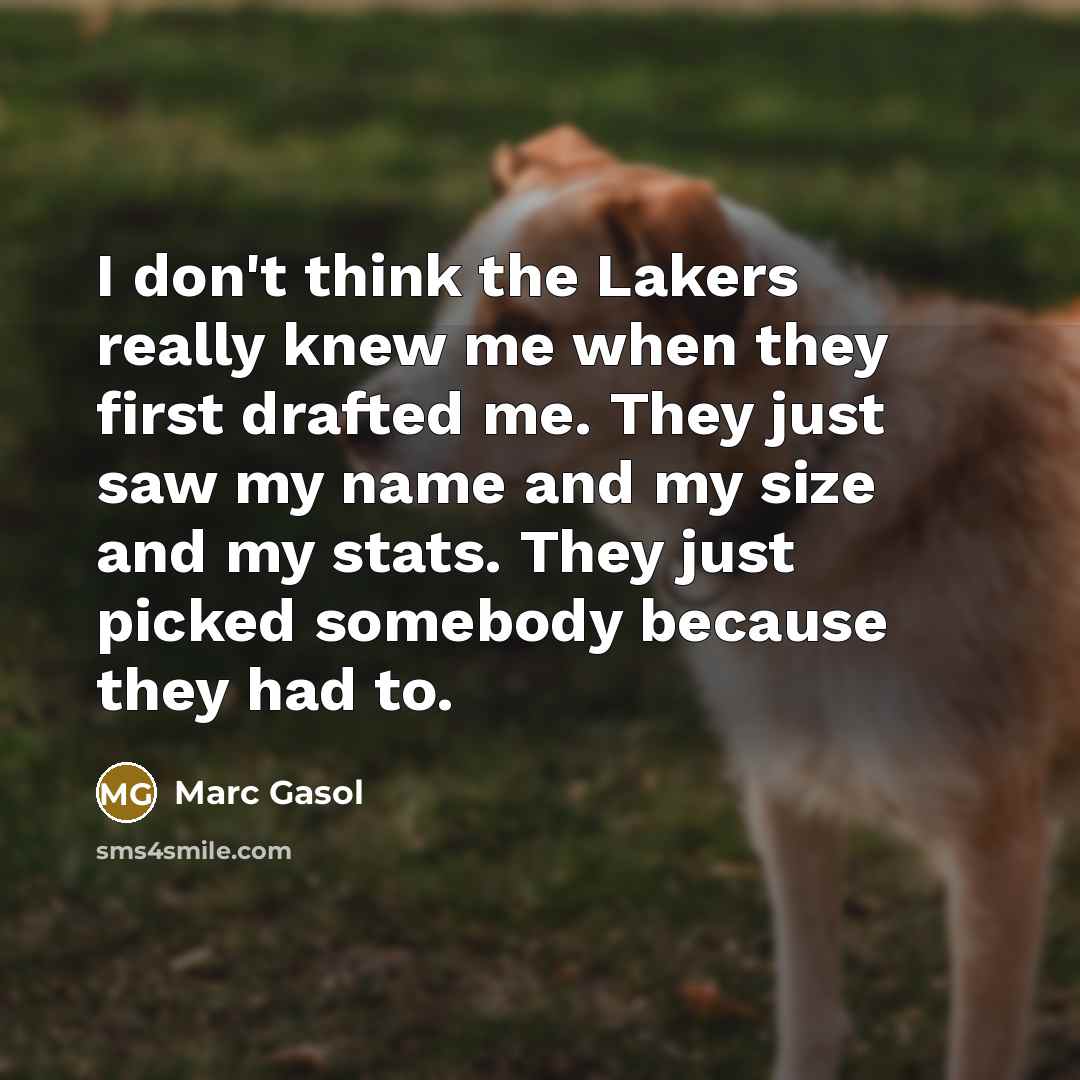 “I don't think the Lakers really knew me when they first drafted me. They just saw my name and my size and my stats. They just picked somebody because they had to.” quote by Marc Gasol