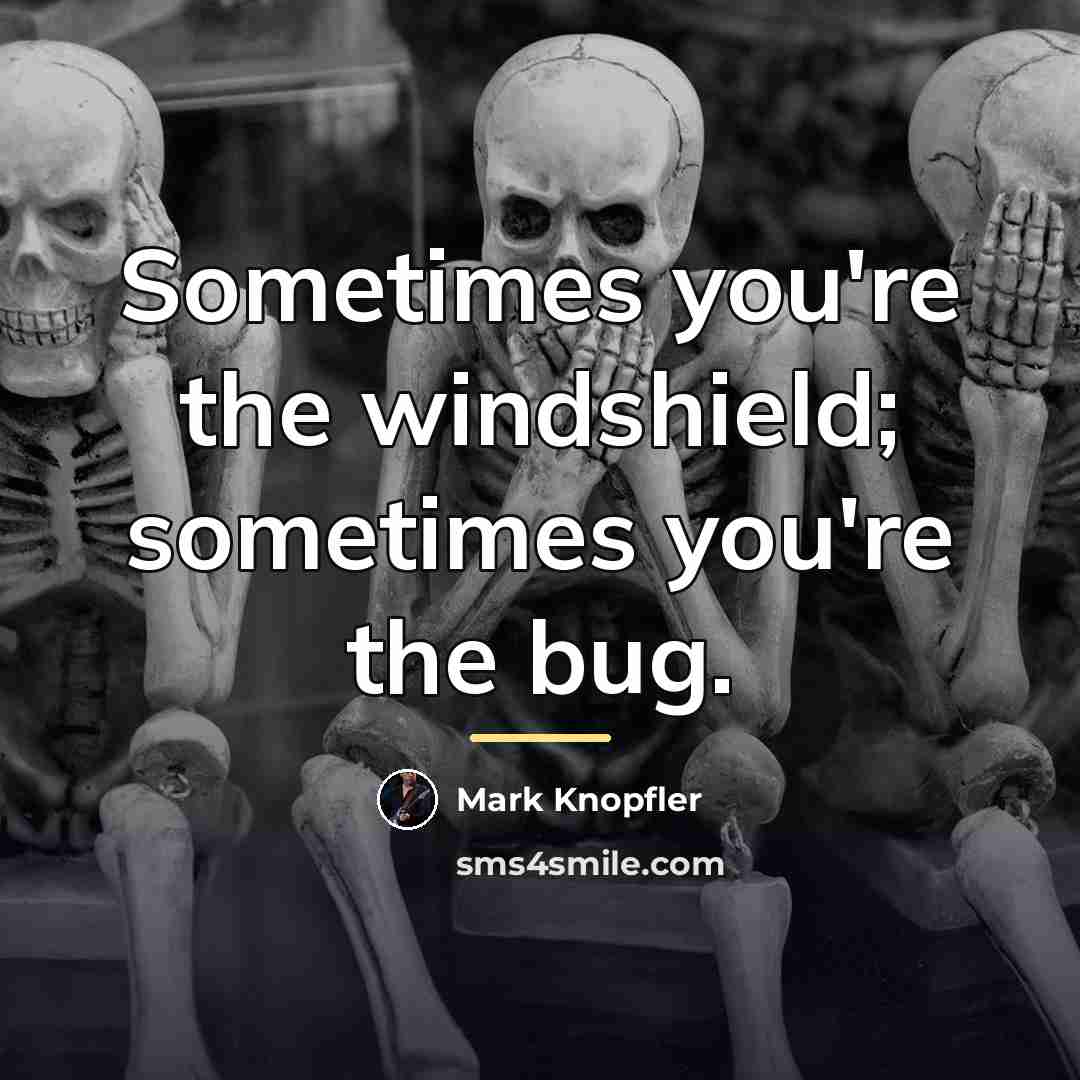 “Sometimes you're the windshield; sometimes you're the bug.…” quote by Mark Knopfler