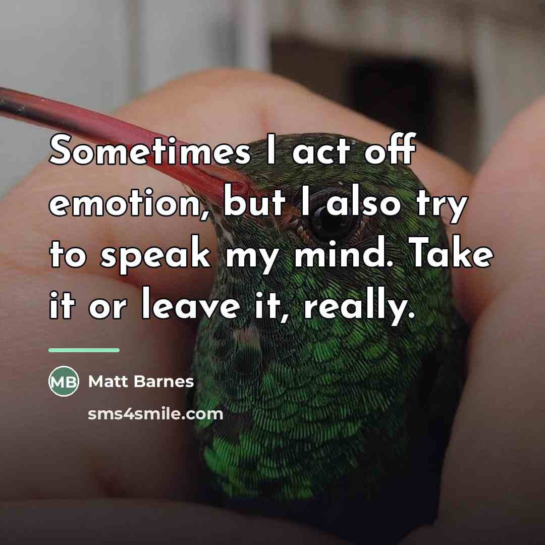 “Sometimes I act off emotion, but I also try to…” quote by Matt Barnes