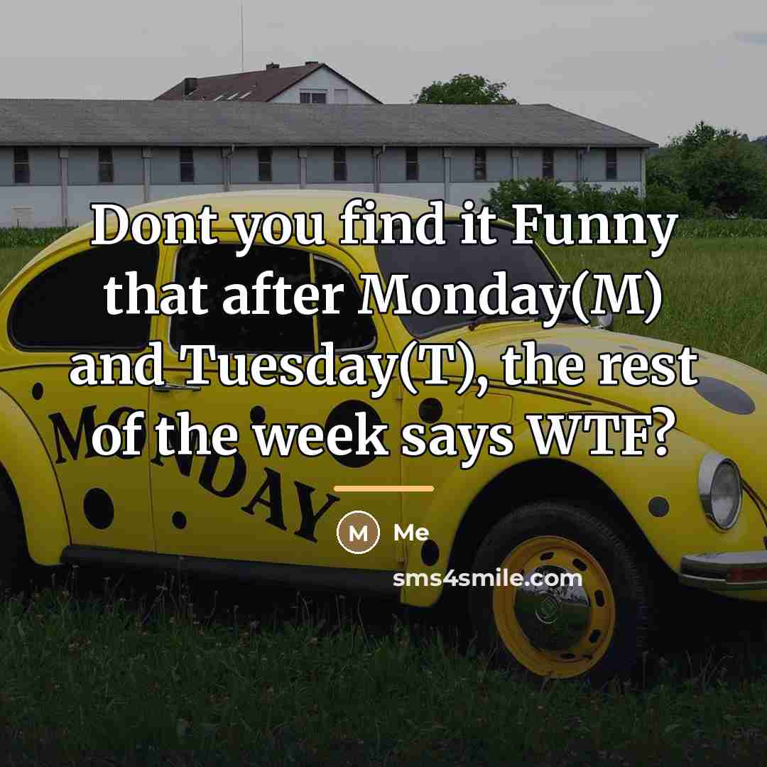 “Dont you find it Funny that after Monday(M) and Tuesday(T),…” quote by Me