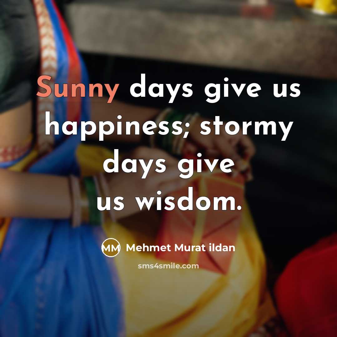 “Sunny days give us happiness; stormy days give us wisdom.…” quote by Mehmet Murat Ildan