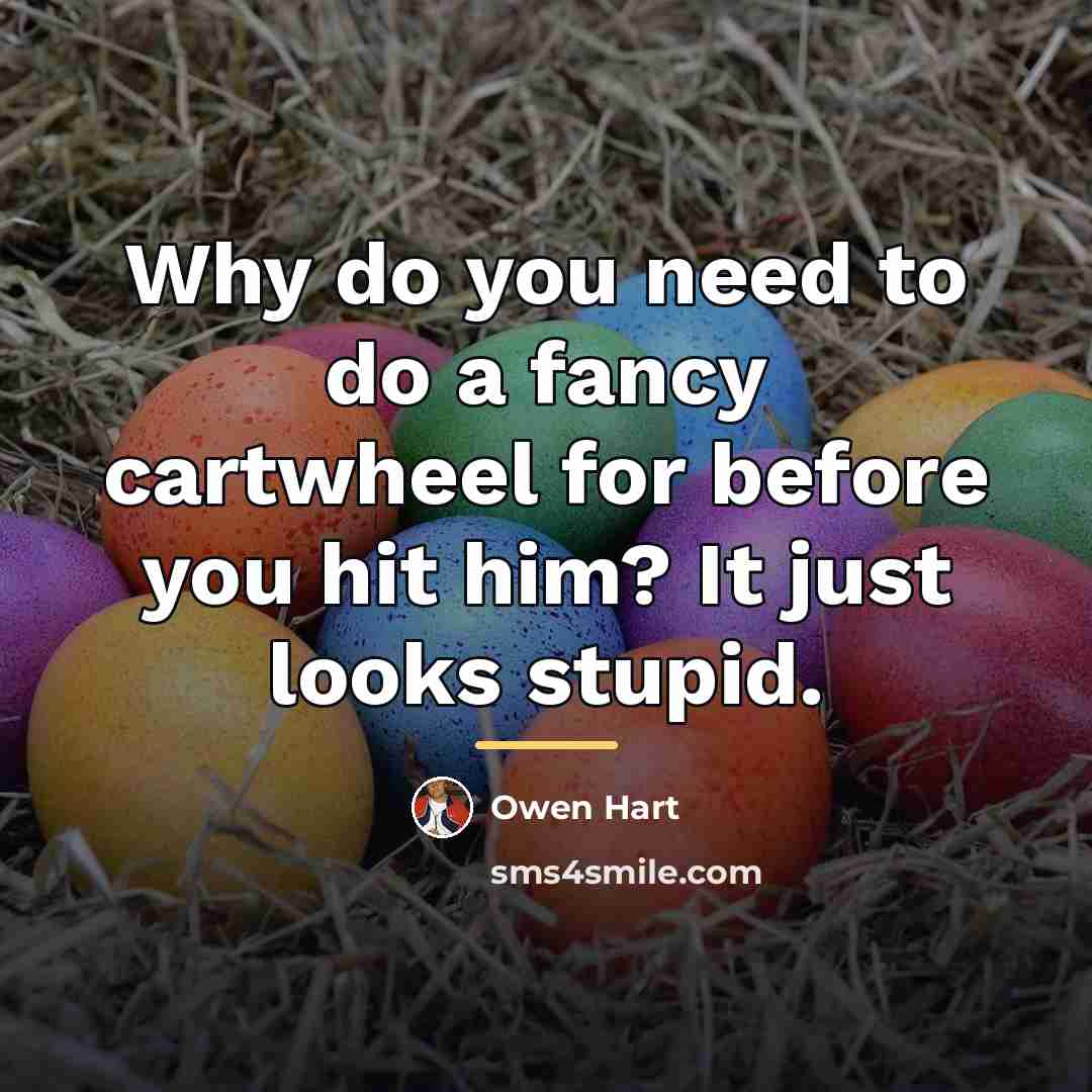 “Why do you need to do a fancy cartwheel for…” quote by Owen Hart