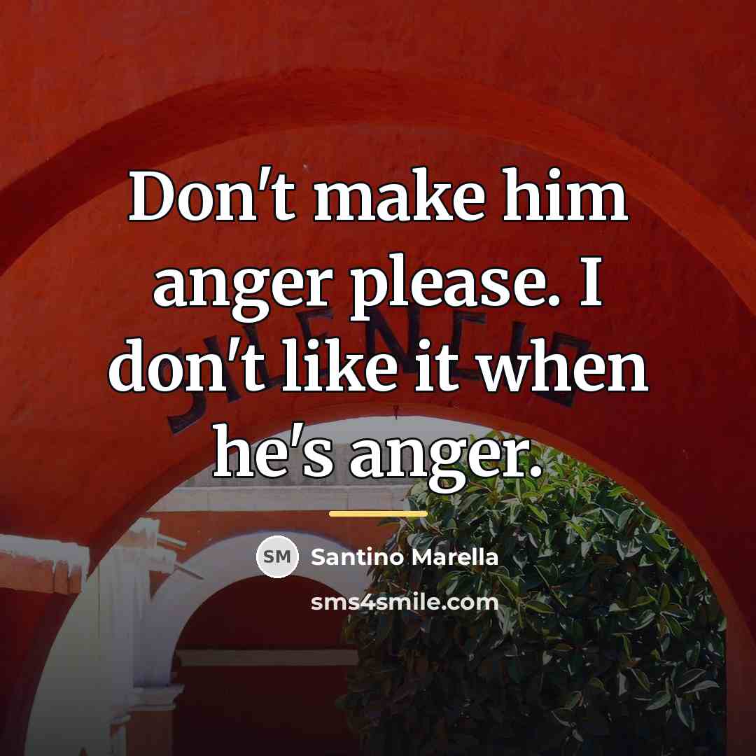 “Don't make him anger please. I don't like it when…” quote by Santino Marella