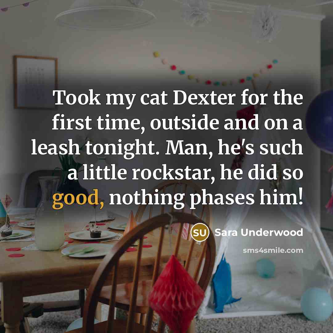 “Took my cat Dexter for the first time, outside and…” quote by Sara Underwood