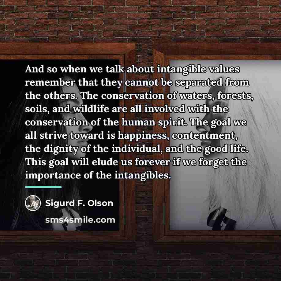“And so when we talk about intangible values remember that…” quote by Sigurd F. Olson