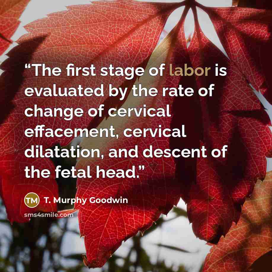 “The first stage of labor is evaluated by the rate of change of cervical effacement, cervical dilatation, and descent of the fetal head.” quote by T. Murphy Goodwin