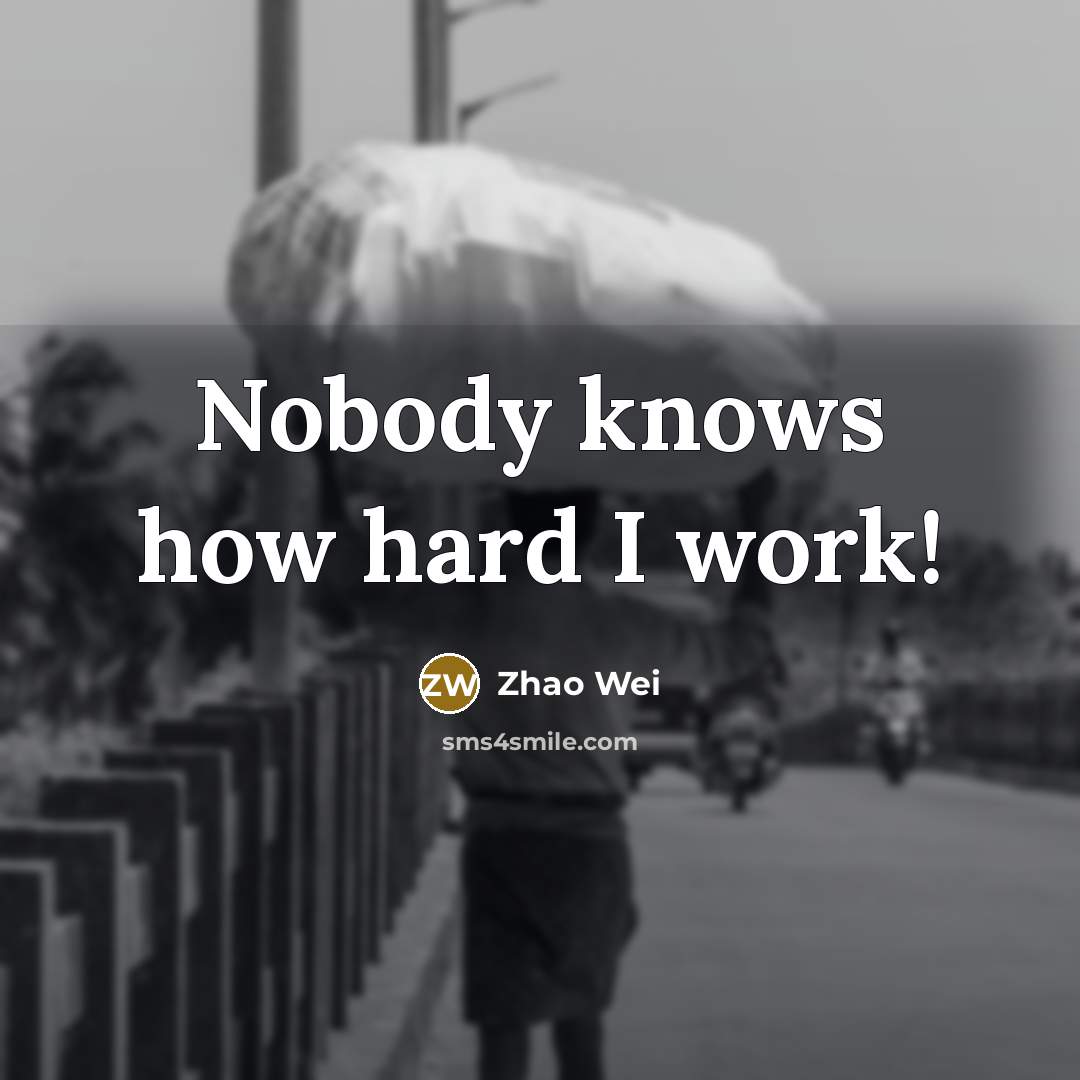 “Nobody knows how hard I work!…” quote by Zhao Wei